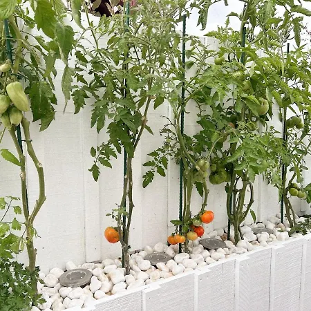 Semesterbostad Cinta, Piscine Chauffee, 5 Min De La *